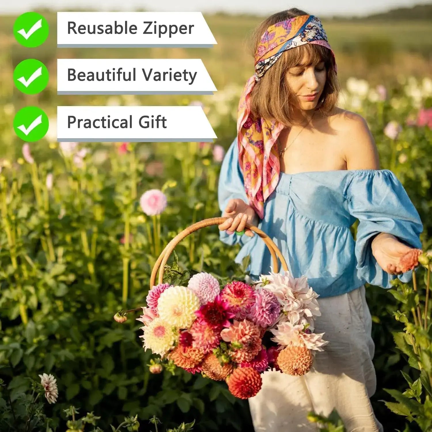 10000 +PCS (Moss Rose) Seeds -Mixed Double Portulaca Grandiflora Seeds Planting Ornaments Perennial Garden Simple to Grow Pots Gifts 51Ms